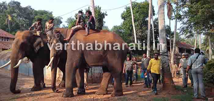 ವ್ಯಾಘ್ರನ ಸೆರೆಗೆ ಮುಂದಾದ ಅರಣ್ಯ ಇಲಾಖೆ : 4 ಆನೆ,17 ಕ್ಯಾಮೆರಾ, 46 ಸಿಬ್ಬಂದಿ ಬಳಕೆ